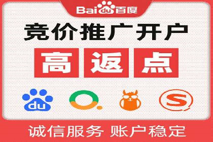 电商行业SEM运营的挑战与成功案例