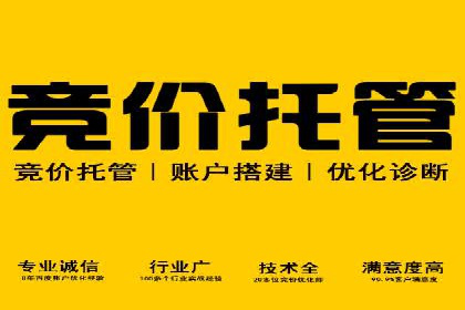 如何在激烈竞争中胜出——SEM竞价优化案例